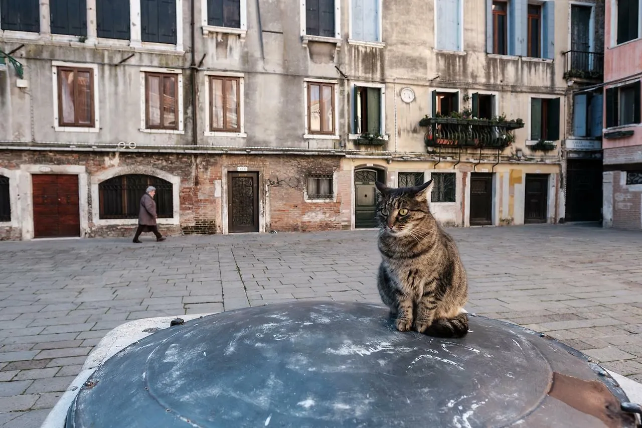 Ca' Bernarda Apartment Venice